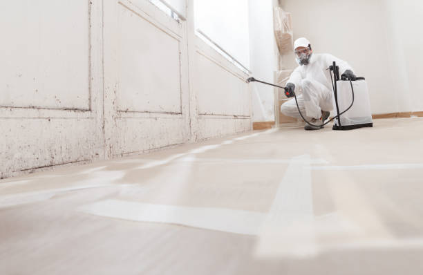 24/7 Emergency Mold Remediation experts in Somerdale, NJ